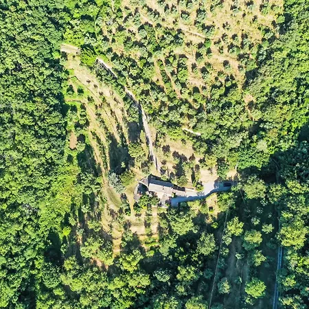 Bramasole By Interhome Vakantiehuis Cortona