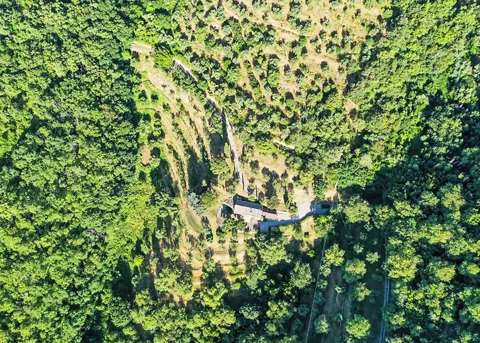 Bramasole By Interhome Vakantiehuis Cortona